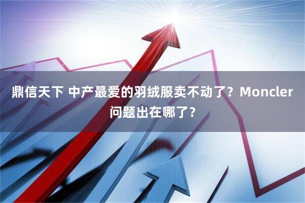 鼎信天下 中产最爱的羽绒服卖不动了？Moncler问题出在哪了？