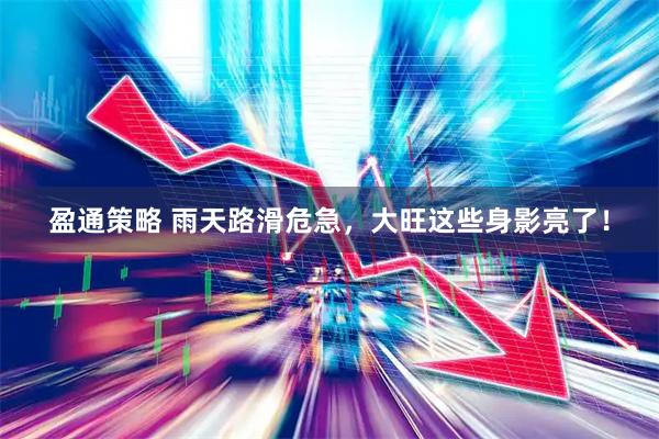盈通策略 雨天路滑危急，大旺这些身影亮了！