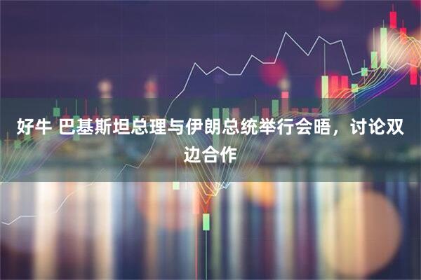 好牛 巴基斯坦总理与伊朗总统举行会晤，讨论双边合作